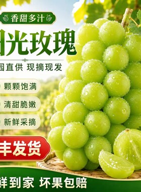 正宗湖北阳光玫瑰葡萄青提
