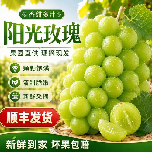 正宗湖北阳光玫瑰葡萄青提