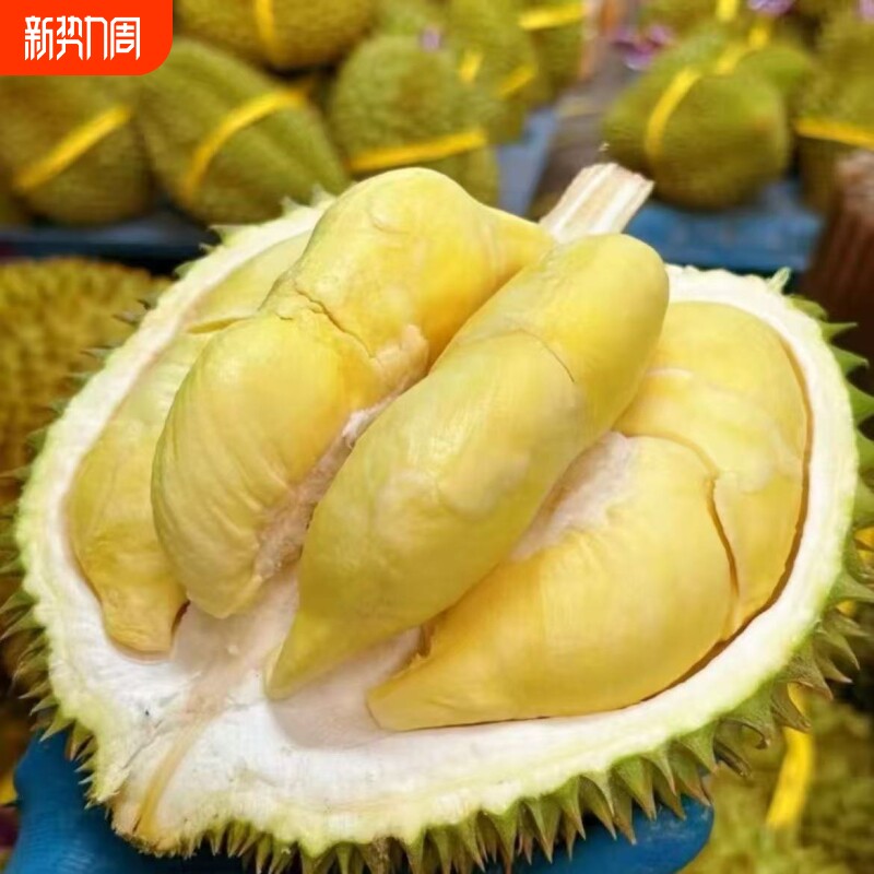 【顺丰】精品榴莲鲜果带壳一整个儿童孕妇首选营养水果包邮到家