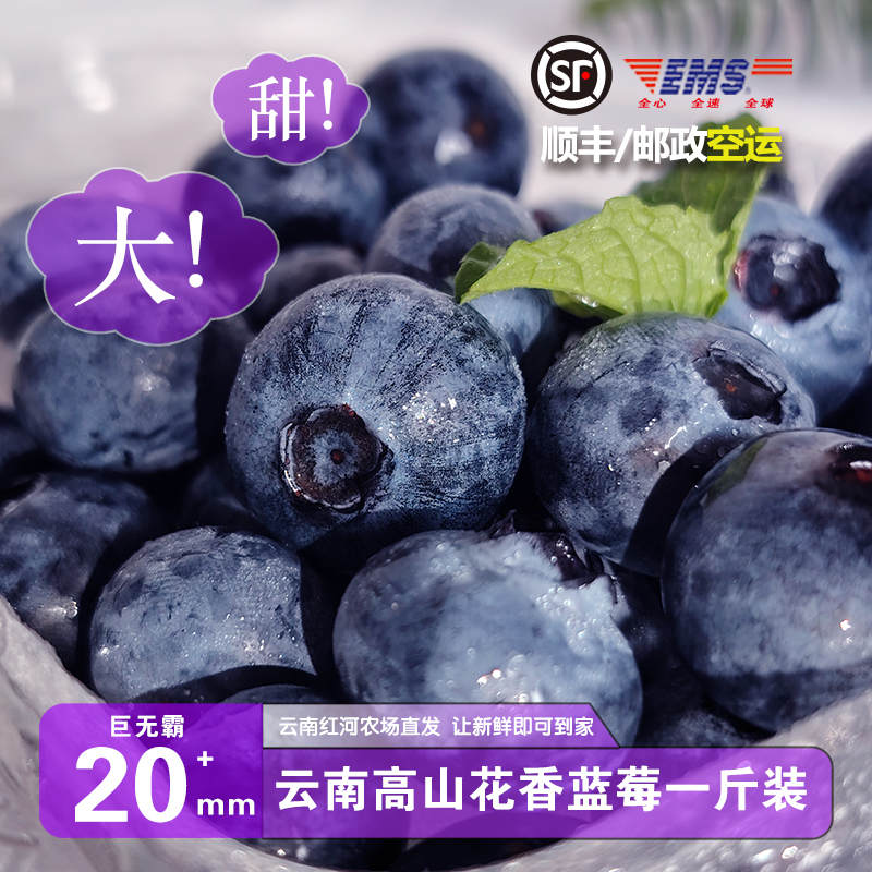 正宗云南优选高山花香蓝莓新鲜水果产地发货顺丰高端一颗蓝莓超甜