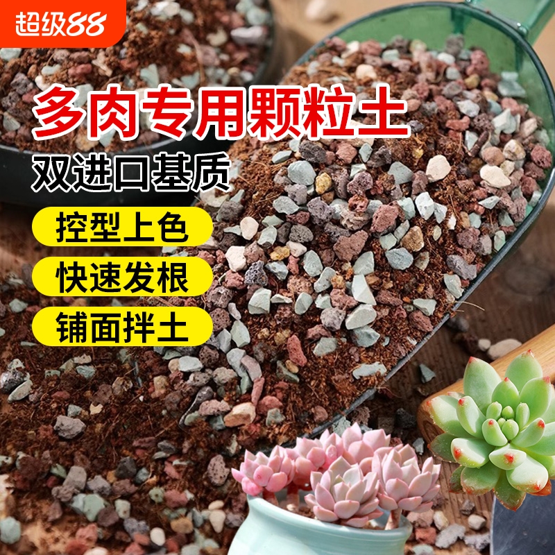 多肉营养土颗粒专用土壤种植栽培土养花通用型泥炭植物花土铺面石