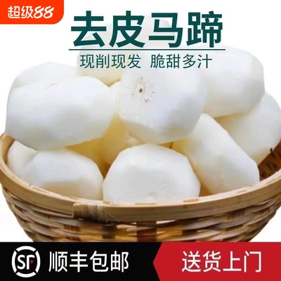 顺丰包邮马蹄现削新鲜荸荠大地