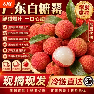 顺丰冷链广东白糖罂荔枝现摘现发新鲜高州老树当季水果整箱应季