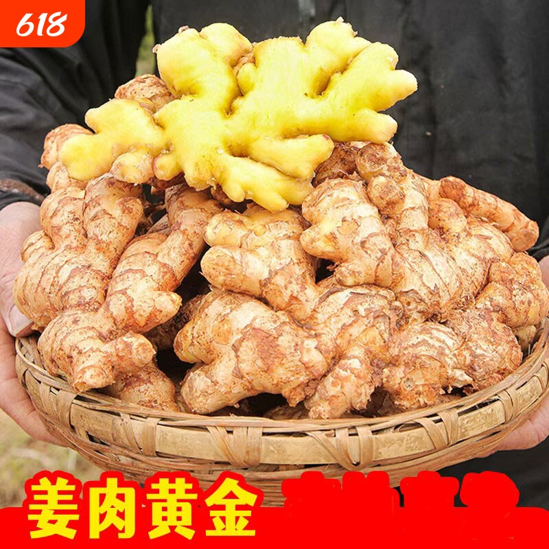 当季云南小黄姜新鲜生姜老姜现挖高山沙姜土姜种子蔬菜食用
