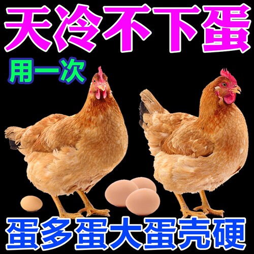 鸡鸭鹅鸽子鹌鹑下蛋专用增蛋王不软蛋产蛋王下蛋饲料延长产蛋周期