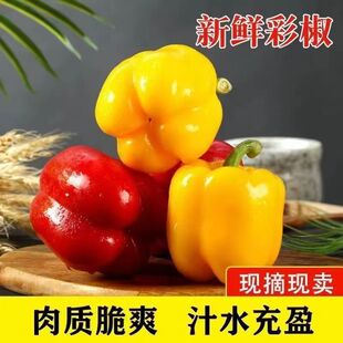新鲜水果彩椒生吃灯笼甜椒寿光蔬菜圆椒红黄五彩椒脆甜不辣当季