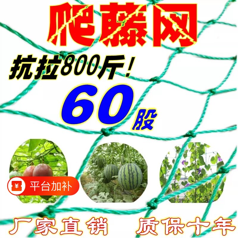 爬藤网植物攀爬网丝瓜豆角苦瓜月季蔬菜百香果专用种植网瓜果花园