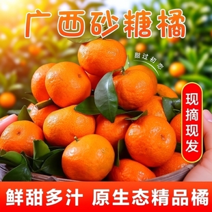 京东直送广西砂糖橘新鲜水果橘子桔子净重5 9斤30mm以上现摘精品