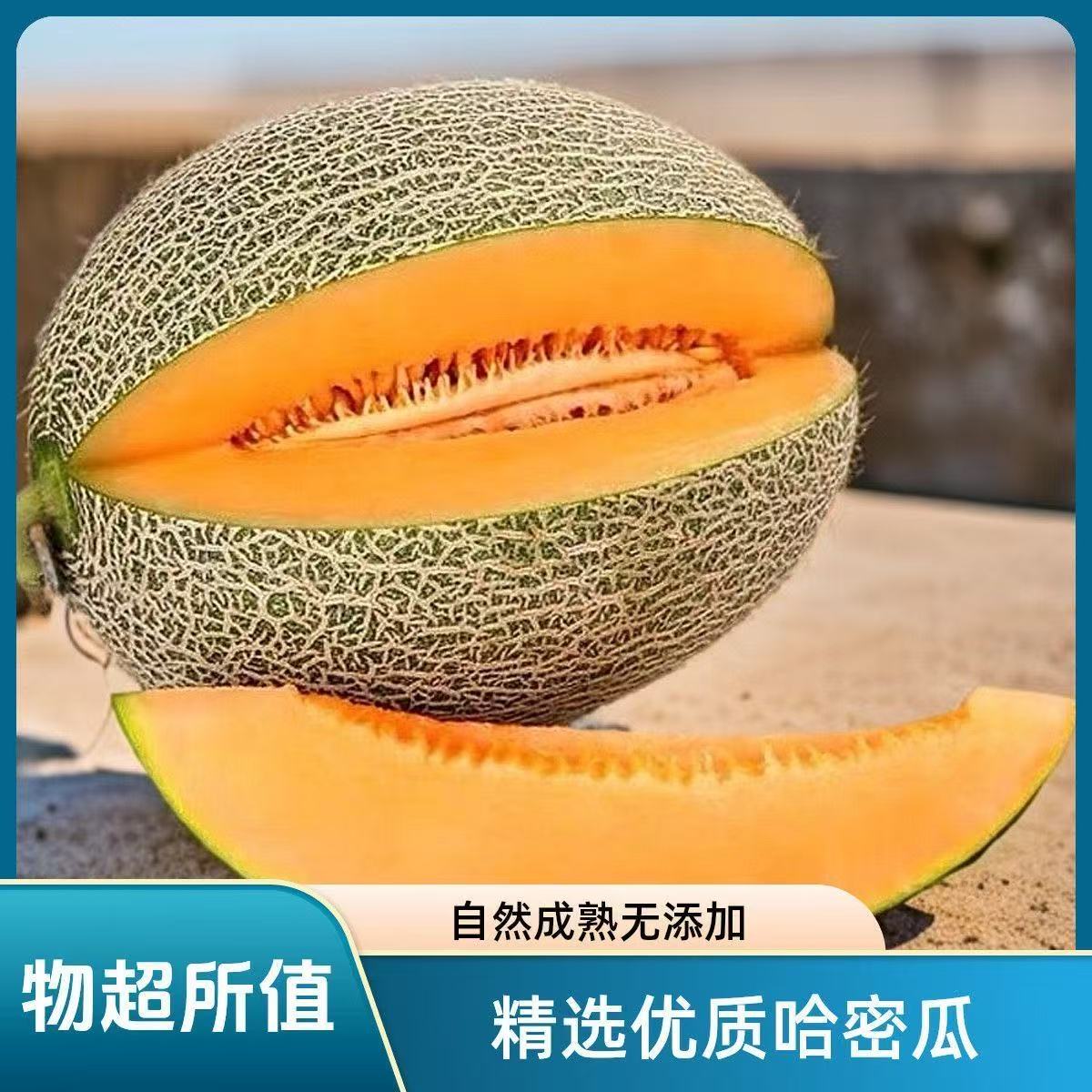 哈密瓜甜蜜爽口果肉脆嫩