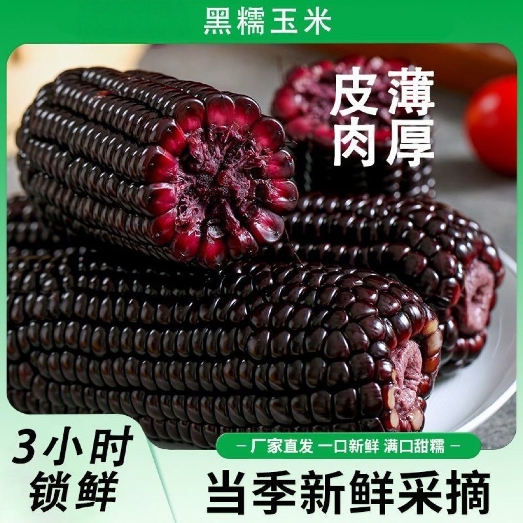 黑糯玉米新鲜糯玉米香甜软糯苞米粗粮代餐真空包装加热即食黑玉米