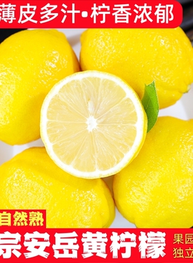 四川安岳黄柠檬9斤新鲜水果精选皮薄一级特产香水鲜甜柠檬青包邮