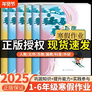 2025新版寒假作业小学一二三四五六年级语文数学英语同步练习册人教版北师版冀教外研版科普版每日一练专项训练书智趣假期语数英