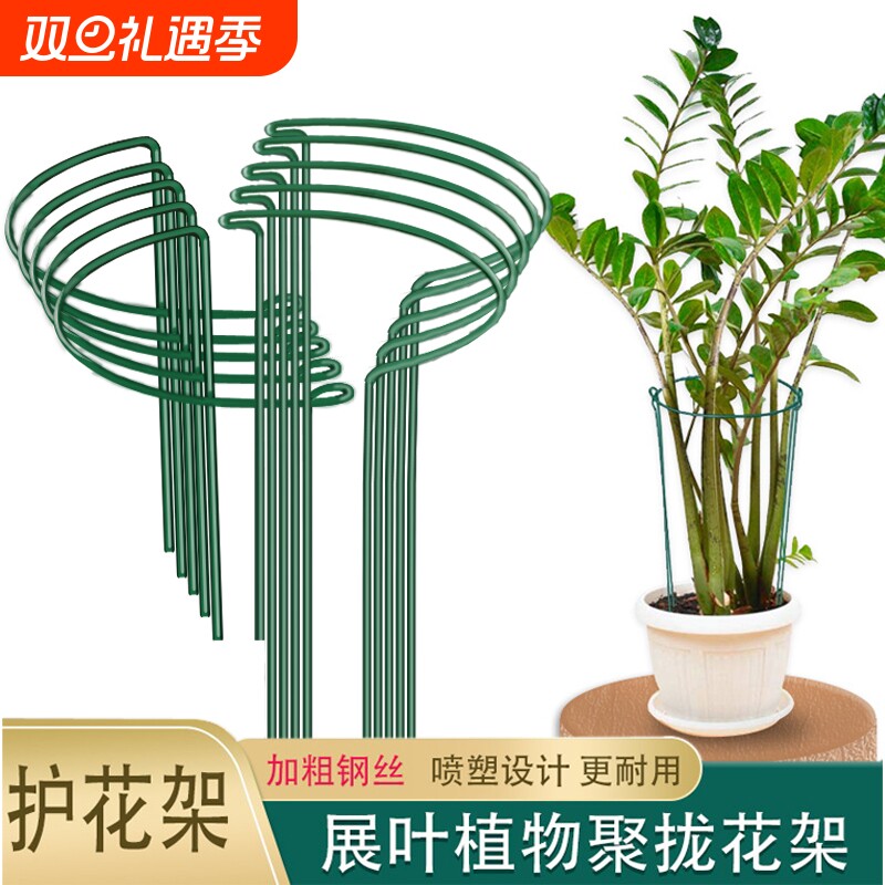 花支撑架金钱树植物花支架花架支撑杆花卉龟背竹防倒伏虎皮兰护花