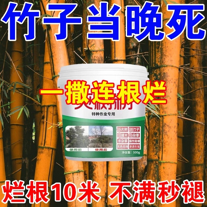 专用药烂根竹子除专用竹根连根除强力去竹粉大树杂草腐蚀专用剂