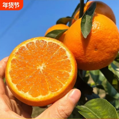 正宗云南沃柑爱媛新鲜桔子孕妇水果柑橘子非广西武鸣县果园阳光