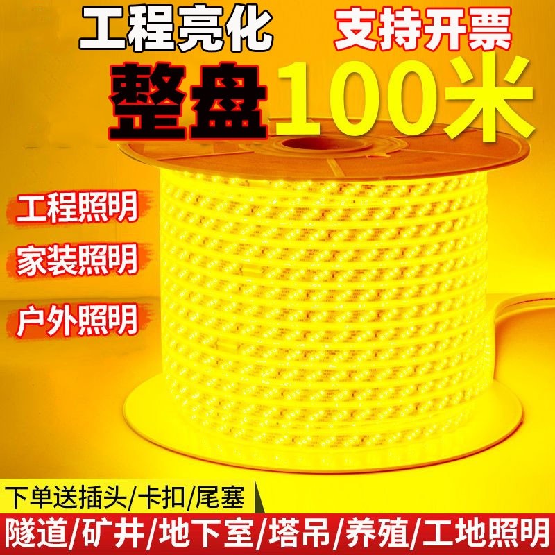 整卷100米超亮LED灯带家装户外工程亮化吊顶户外防雨暖光白光装