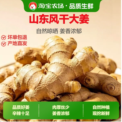地头价正宗山东大姜老姜生姜新鲜农家老黄姜干姜农场辛辣当季风干