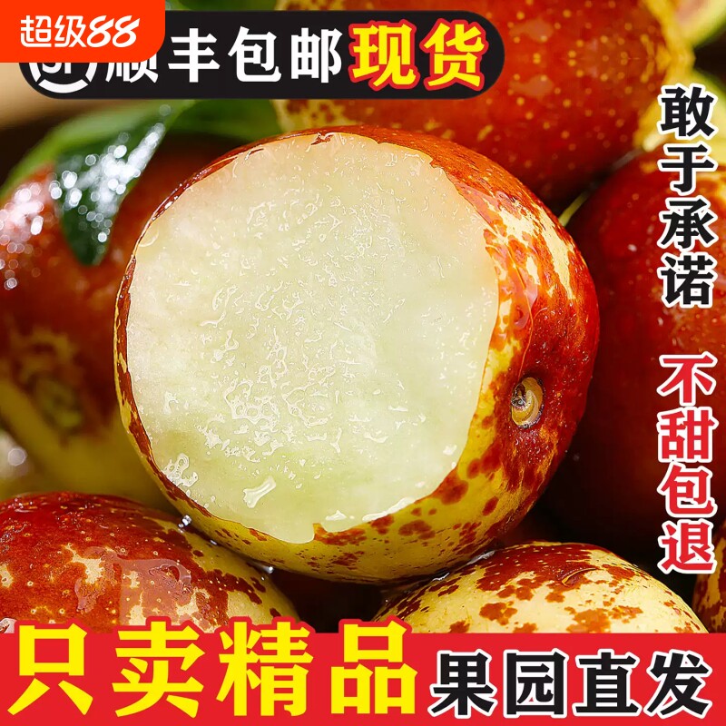大荔冬枣5斤新鲜大枣冰糖鲜枣现货山西当季水果脆甜枣子顺丰包邮