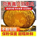 正宗山东日照贝贝小南瓜5斤山东老熟粉面板栗味婴儿辅食进口种源