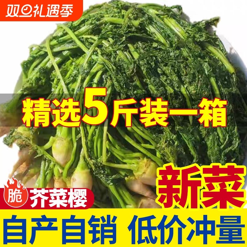 东北芥菜樱子咸菜特产五斤0防腐剂咸菜老味道农家新鲜传统腌制