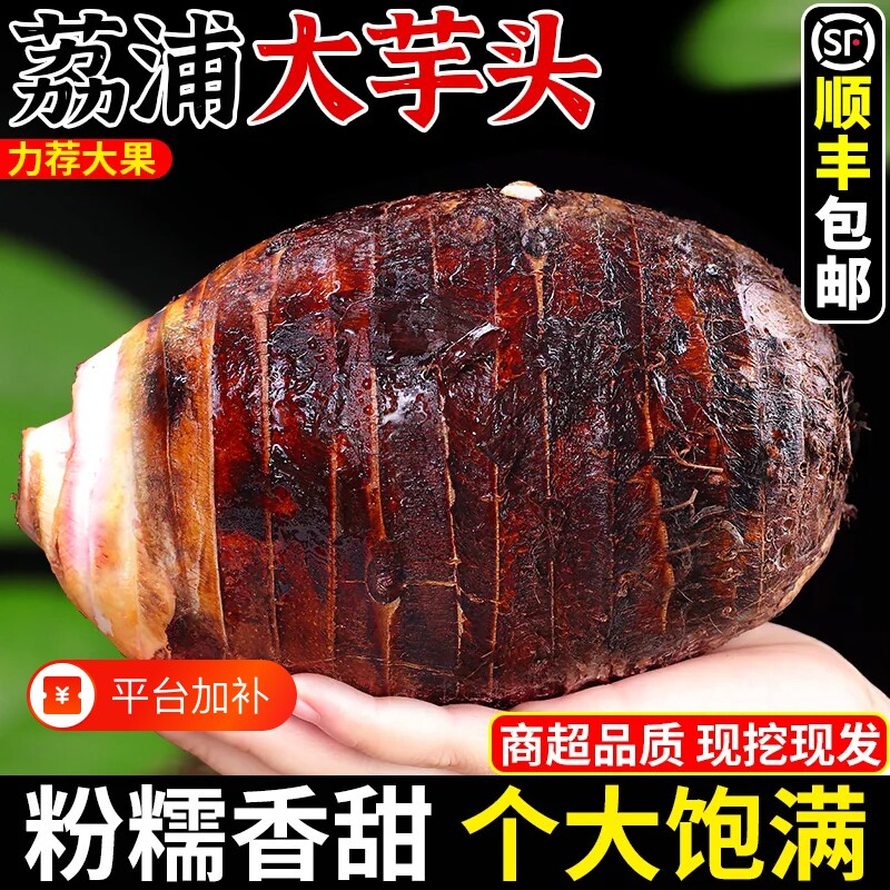 广西荔浦新鲜大芋头10斤整箱小芋头旗舰店正宗槟榔芋现挖毛芋头5