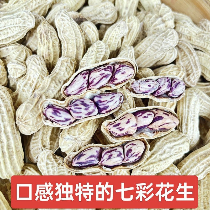 七彩花生米云南特产带壳晒干2026新货花生粒生花生原味五彩花生