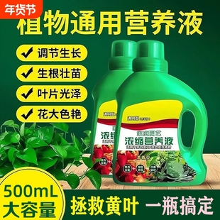 大树烂根强力枯树王烂根除大树药腐树根一滴树死竹子枯死烂根剂S