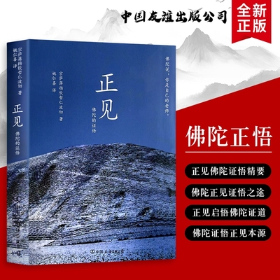 全新正版 正见：佛陀的证悟与生活解惑 化解焦虑 执念与痛苦 打破认知误区 在觉醒中活出通透人生
