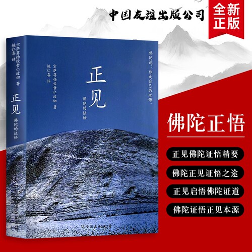 全新正版正见佛陀的证悟与生活解惑化解焦虑执念与痛苦打破认知误区在觉醒中活出通透人生佛法佛教