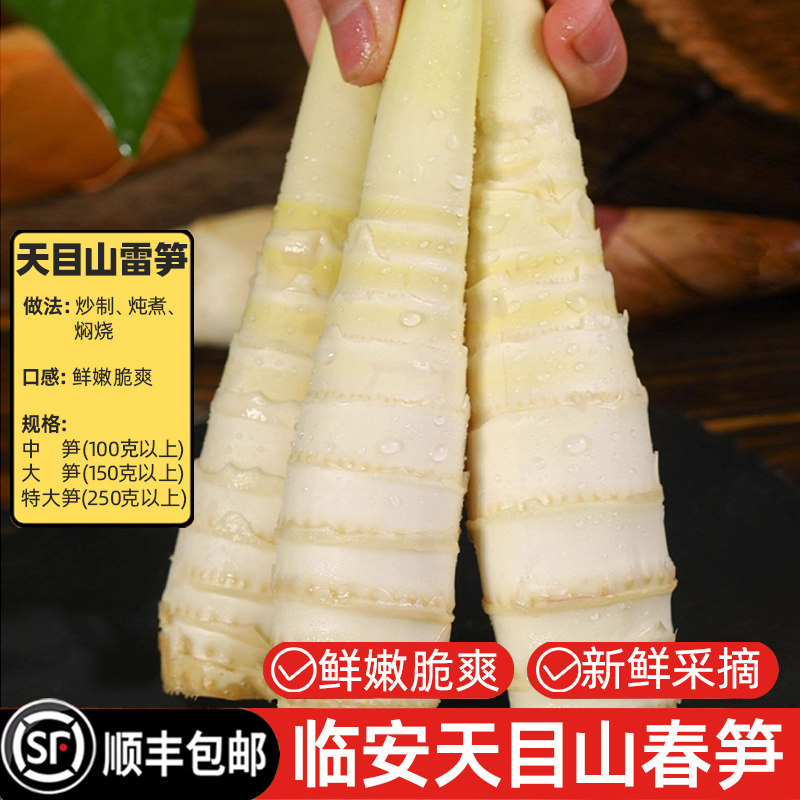 【顺丰包邮】临安天目山雷笋新鲜现挖野生带壳春笋黄泥笋蔬菜竹笋