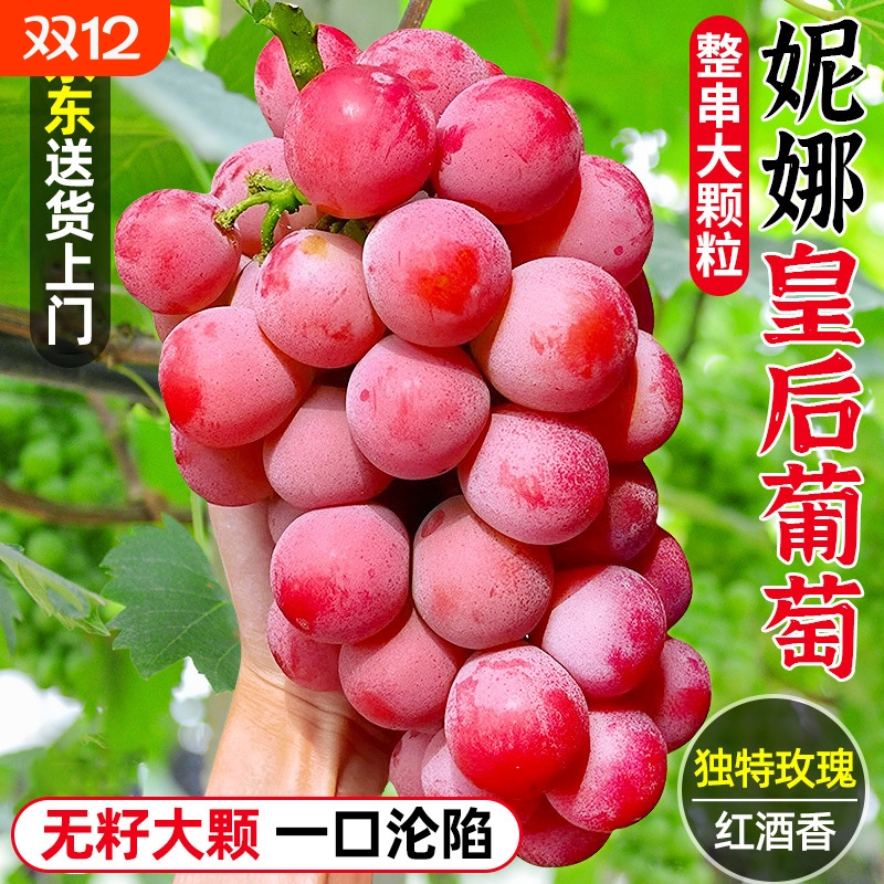 辽宁妮娜皇后硕大可口香醇葡萄整件包邮新鲜水果妮娜皇后当季葡萄