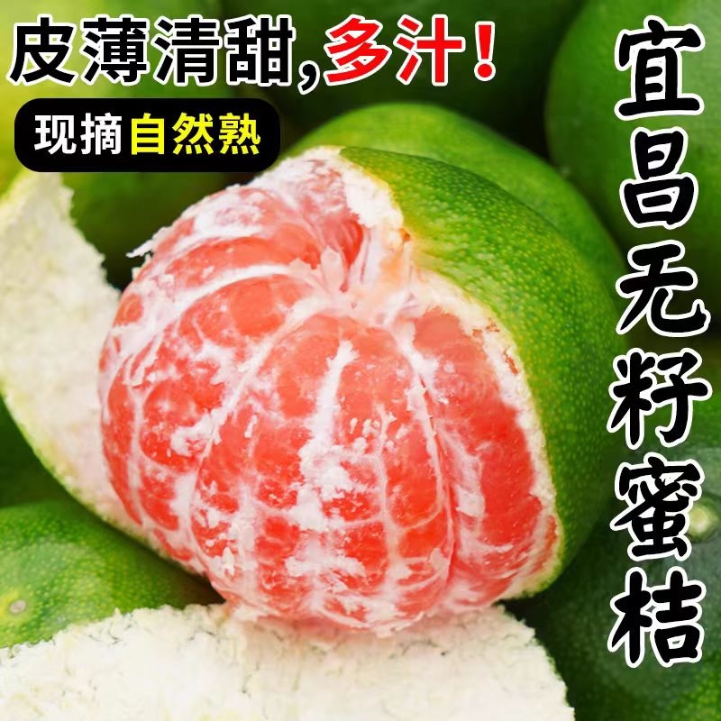 正宗宜昌蜜桔新鲜当季无籽蜜橘薄皮桔子9斤整箱包邮孕妇水果青皮