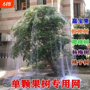 果树防雀网防鸟网樱桃树枇杷树树防鸟罩尼龙网挡鸟拦鸟网子果园