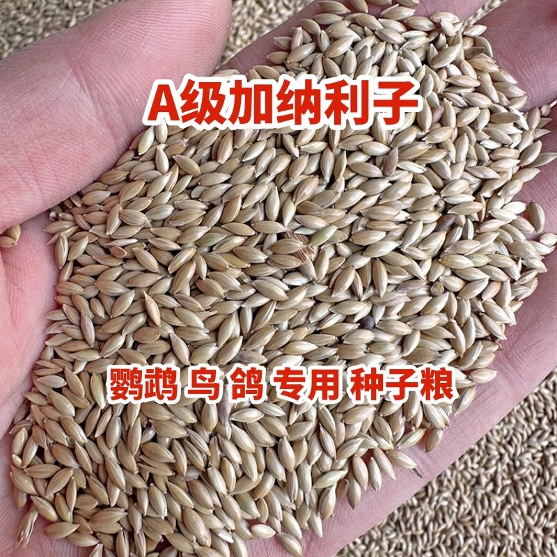 进口加纳利子鹦鹉鸟食玄凤虎皮牡丹抗寒鸟粮白尖饲料草籽种子粮