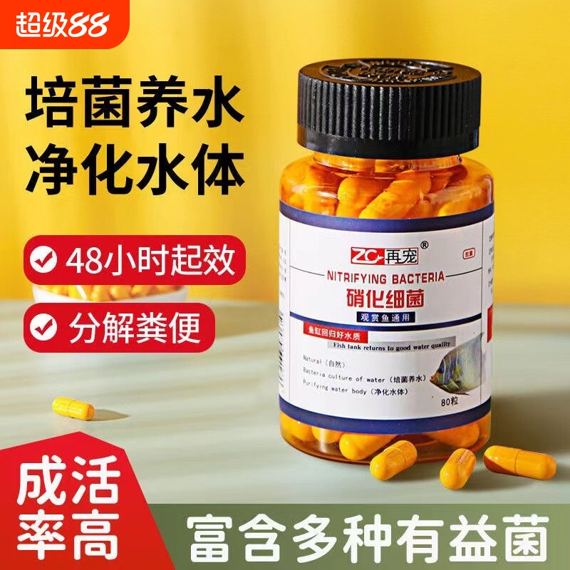 鱼缸硝化细菌胶囊去腥味水质净化打造空气缸分解鱼粪图片