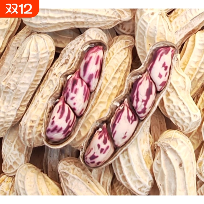 2024年新货七彩花生云南普洱