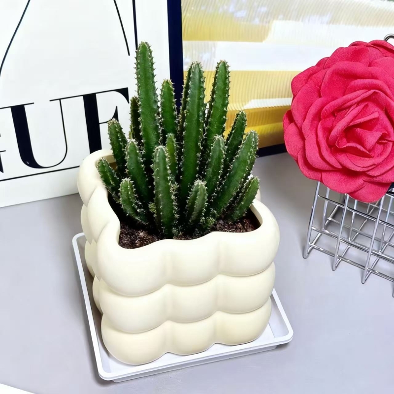 仙人掌盆栽万重山室内仙人球