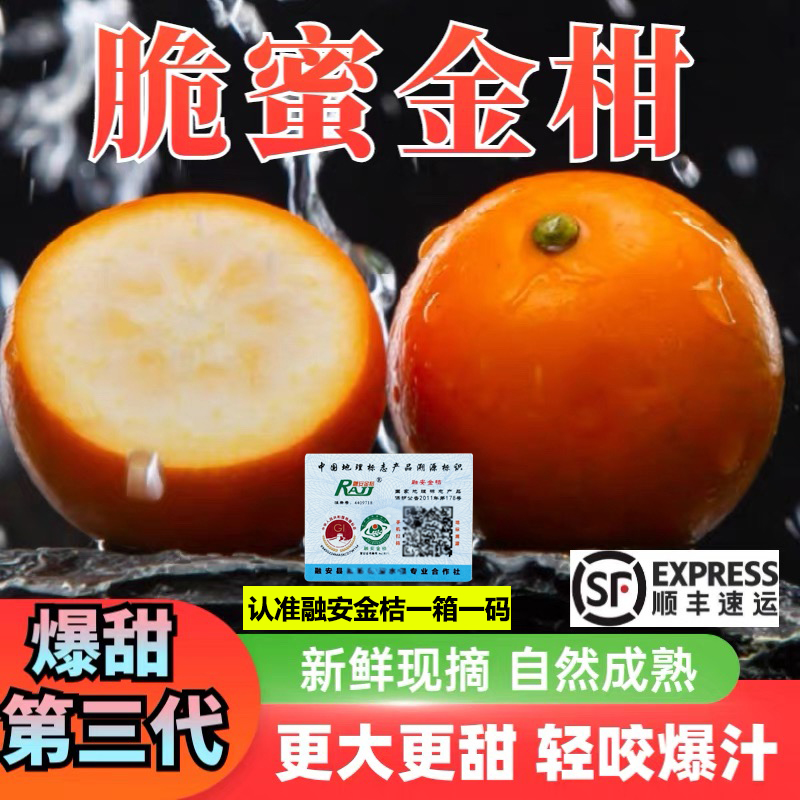 正宗广西融安脆蜜金桔无籽第三代脆蜜金柑鲜果纯甜当季水果礼盒装