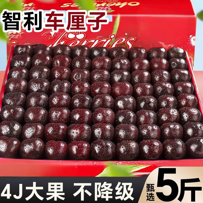 智利车厘子新鲜水果5斤大樱桃新鲜孕妇水果当季车厘子4J礼盒装ss