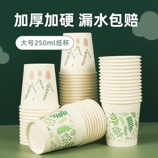 一次性纸杯家用水杯子整箱批发加硬加厚茶杯100只食品级喝水防烫