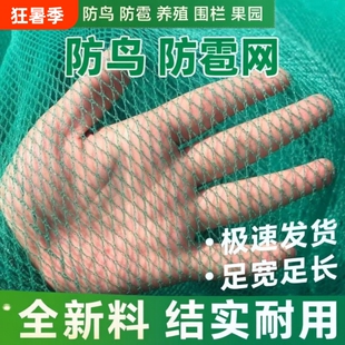 围网小网孔无结网养鸡网防鸟网养殖网尼龙网果树网冰雹网渔网