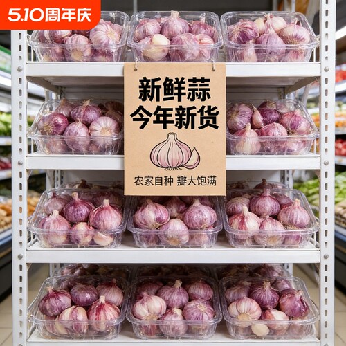 鲜嫩多汁当季鲜蒜河南新鲜紫皮大蒜多瓣现挖现货批发自种