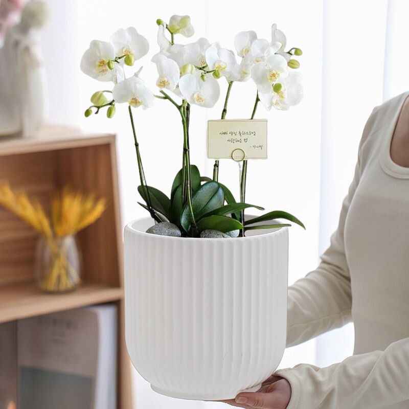 室内北欧风格高颜值花器绿萝客厅陶瓷花盆简约