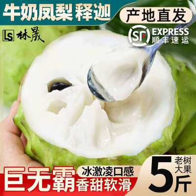 新鲜凤梨牛奶释迦果5斤大目释迦尼佛头果冰淇淋番荔枝特大果现摘