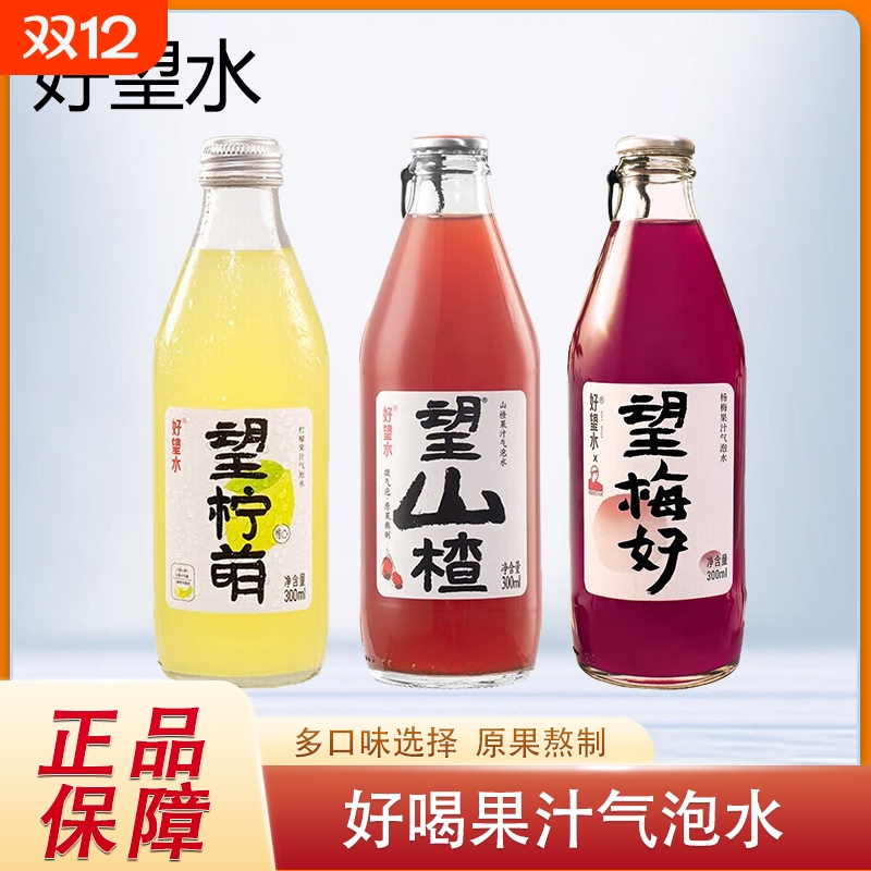 好望水望山楂杨梅柠檬果汁气泡水饮料碳酸饮料300ml
