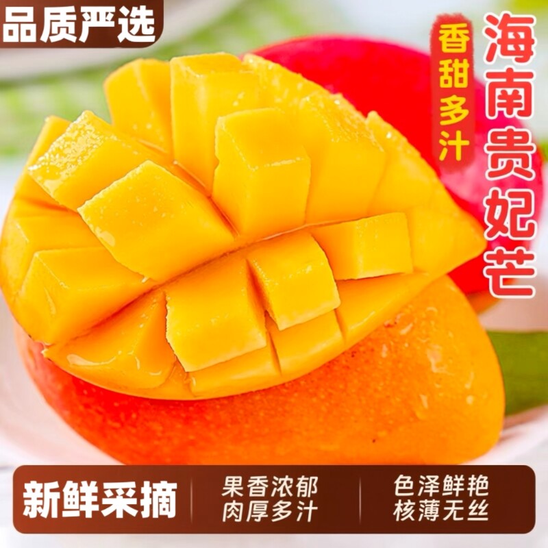 海南贵妃芒现摘现发9斤装新鲜芒果包邮整箱当季热带水果核小5鲜果