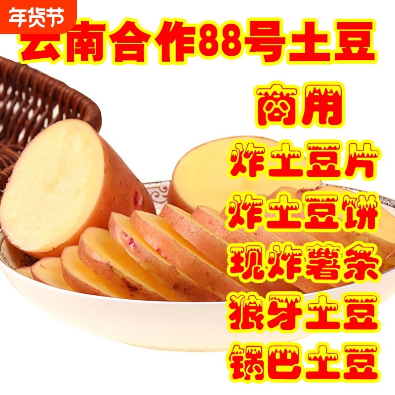 云南合作88号商用100/200斤炸薯条炸薯片炸土豆饼炸狼牙土豆