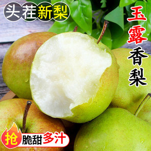 山西玉露香梨新鲜当季水果梨子脆甜薄皮酥梨应季一整箱包邮非雪梨