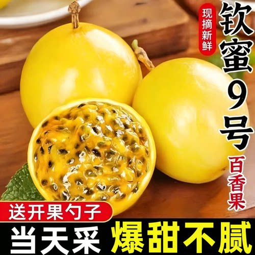 正宗钦蜜9号黄金百香果新鲜水果当季整箱包邮大果原浆金桔现摘