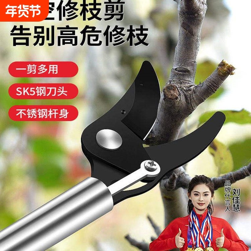德国精工高枝剪伸缩高空剪树枝专用剪刀果树园艺剪sk5修剪修枝